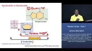 MCAT&reg;: Nucleic Acids Part 1 &ndash; Difference between Nucleotide and Nucleoside