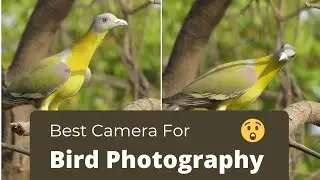 Best Camera For Photography | Budget Camera For Bird Photography | Best Camera For Vlogging