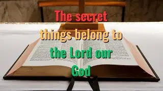 The Secret Things Belong to the LORD [Deut. 29:29] #shorts