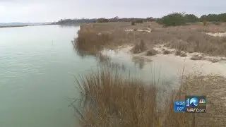 Chesapeake Bay Foundation programs to benefit from slice of $90 million annually