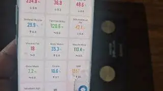 Does the RENPHO Smart Scale Really Work? Body Composition Test
