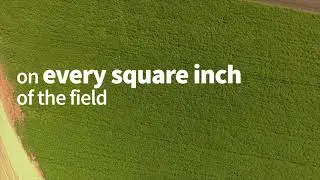 Stand Count: Precision Farming Analysis