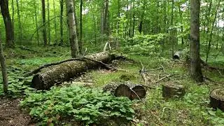 Door County Activity News: Newport State Park's Poetry Trail