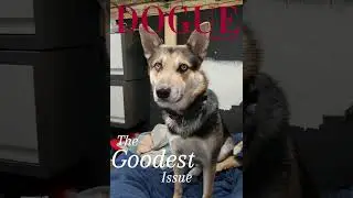 he is the goodest baby boy. #vanlife #wolfdog #furbaby #wolfdog #vanlife #tech #shorts