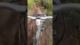 Downhill Uraykuna 2024 -/cat_rigidas