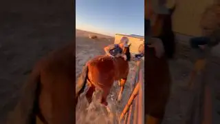 #fail #funnybloopers #littlecowboy #hilarious #cowboy #funnyclips #hahaha