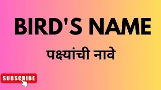birds name in english l bird names and their sounds  l different types of birds