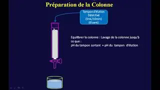 4 Chromatographie Échangeuse d'Ions