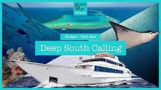 Sudan - Diving Red Sea / Deep South Calling
