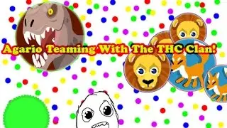 Agario Teaming with THC Clan// Tricksplits