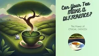 🍵 CAN YOUR TEA MAKE A DIFFERENCE? Explore the Power of Ethical Choices! 🌿🌏