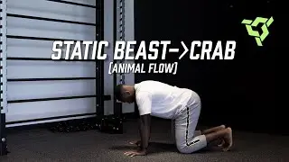 Static Beast to Static Crab (Animal Flow)