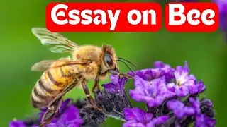 🔴 World Bee Day | 10 Lines On World Bee Day | 10 Lines On National Honey Bee Day