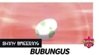 BUBUNGUS | SHINY Breeding 🥚 | Pokemon Schild Edition - 2021