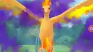 HOW TO BEAT GIOVANNI SHADOW MOLTRESS POKEMON GO!