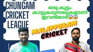 ഒരു കൂട്ടം കാട്ടുകടുന്നലുകളാണ്ഇവൻമാർ😱😱