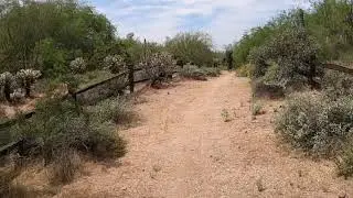 Desert Bike Ride