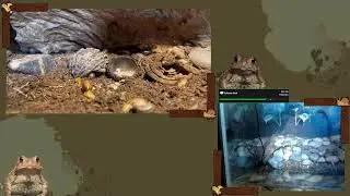 join for constant tech issues!