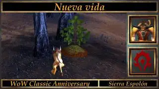Nueva vida // World of Warcraft 20th Anniversary