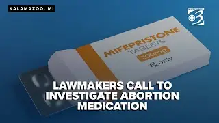 Michigan lawmakers call for review of mail-order abortion pills
