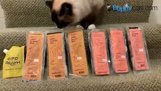 Smalls Cat Food Review Unboxing: Human Grade Fresh Cat Food