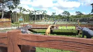 Clark Safari Pampanga (upon entering) #clark #clarksafari #pampanga #zoo