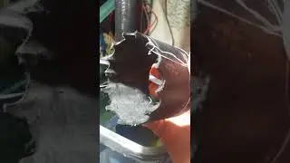The stresses of Daniel. The SOD. Aquaponics bell valve  #101