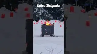 Laisvė#shortvideos#reels #winter#viralvideos #snowfall #music #love #nature #foryou #shorts #Lietuva