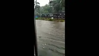 Mumbai Floods 2018 Latest Video