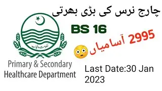Charge Nurse Jobs PPSC