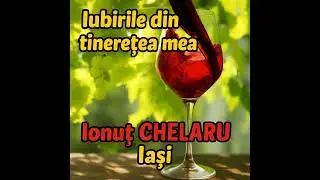 Ionut CHELARU - Iubirile din tineretea mea - COVER DAN CIOTOI
