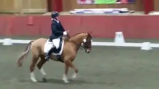 Advanced Medium Freestyle debut. Merrist Wood.
