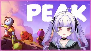 [ソロ PEAK】山は登っておかないとね【 おうみそうみ】