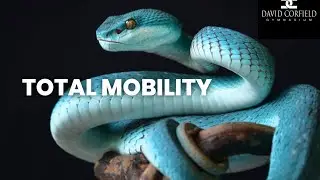 TOTAL MOBILITY 5