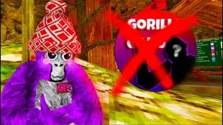Gorilla Gang Is BACK in Gorilla Tag...