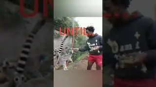 SPEED getting attacked by a small animal😂💀