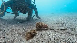 INFINITY DIVE