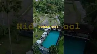 Hidden Pool in Kerala 🌿💧 | Travel Shorts Nature Shorts
