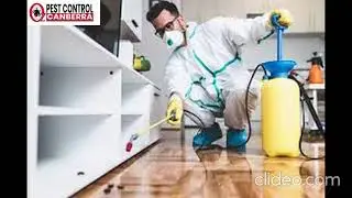 Pest Control Rivett | Pest Control in Rivett | Rivett Pest Control