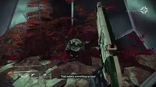 Destiny 2 Episode Echoes: Captain Jacobson the Frog