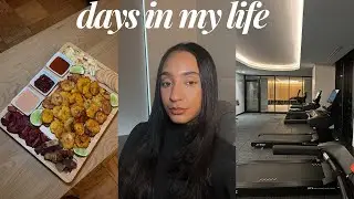 Видеоблог 