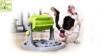 Top 5 Inventions 2020 For Cats And Dogs! Dog Slow Feeder, Pet Grooming,Cat Toy For Your Pet