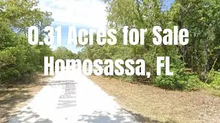 0.31 Acres for Sale in Homosassa, Florida!