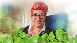 Trilingual sign language interpreter Stephanie Awheto dies