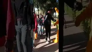 Teddy bear proposing in cute girl 😃❤️😍😚💫🌹