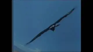 [LD CLV 60fps] Miramar Productions: Desert Vision