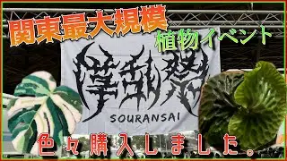 【大規模植物イベント】草乱祭に行って色々買ってきました！
