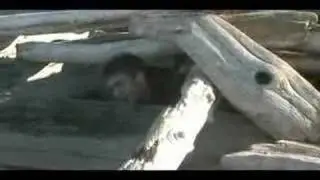 Half Moon Bay- Music Video