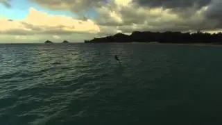 Greg Foil Boading