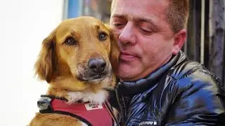 DOG SUPPORTS DYING MAN ON THE STREETS OF SPAIN ... REAL SPAIN! SHARE!
